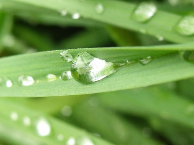 水滴