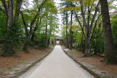 海恩萨寺长庆坂泉，韩国大藏经木块的存放处