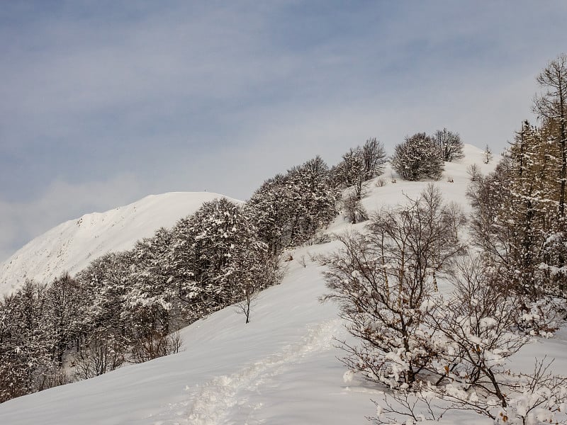 冬季，在瓦尔格兰德国家公园徒步旅行到托达诺山