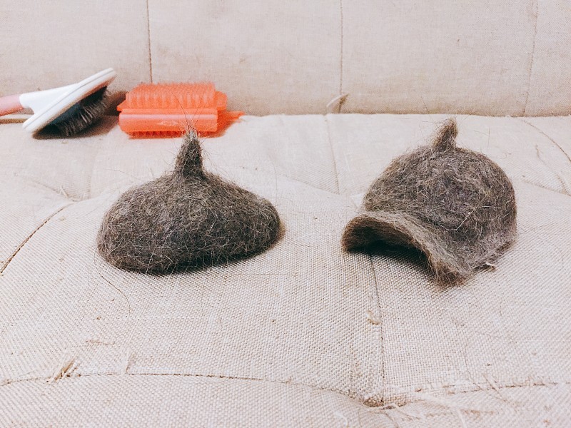 用猫毛做的小屋