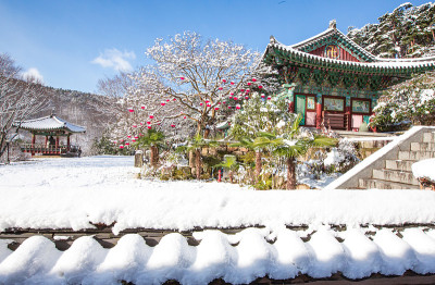 挂着红灯笼的万延寺雪景