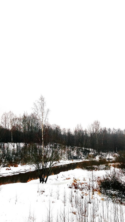 河流，森林，冬天不结冰的雪