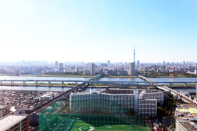 从天文台可以看到东京的天空树和城市景观