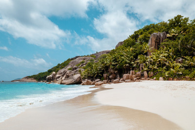 热带海滩塞舌尔，白色沙滩上的棕榈树在塞舌尔Praslin