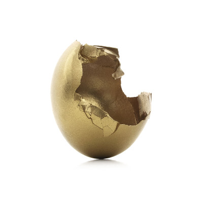 破碎的金窝蛋
