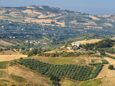 夏天，Teramo (Abruzzi)附近的景观