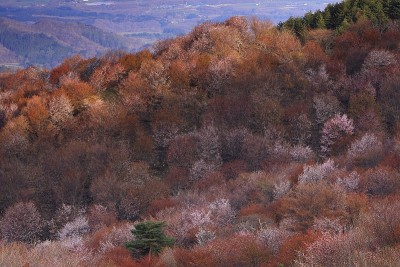 三冈市岩手县山清水秀