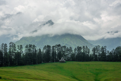 绿色草地包围在喜马拉雅山脉,喜马拉雅雪杉树Sainj山谷,Shahgarh、喜马偕尔邦,印度