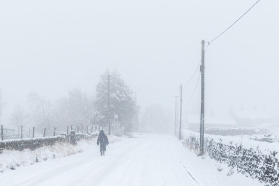 雪覆盖了道路