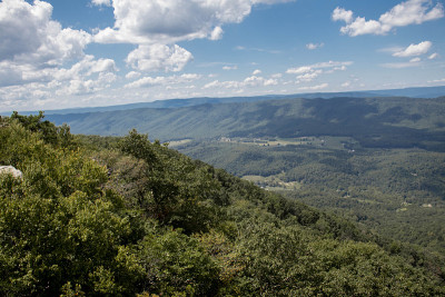 山