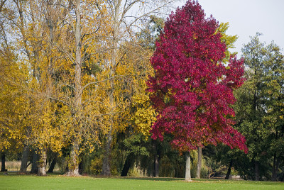 Herbststimmung
