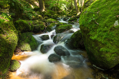 高山流水