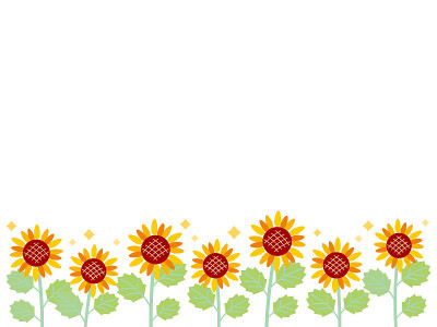 sunflower03