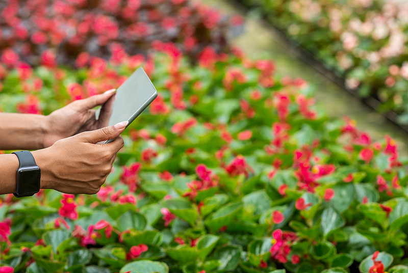 Agricultural technology. Girl with tablet making p