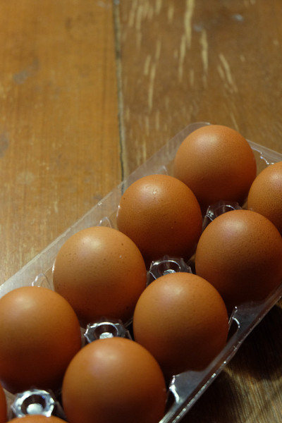 鸡egg3