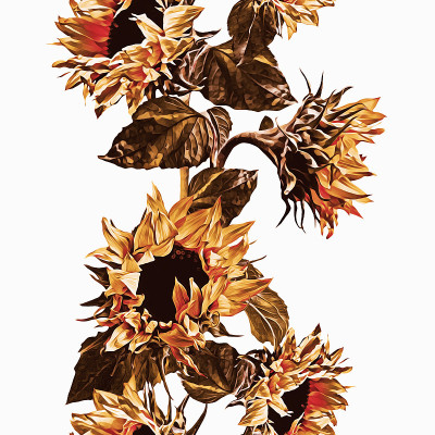 向日葵无缝的花环。