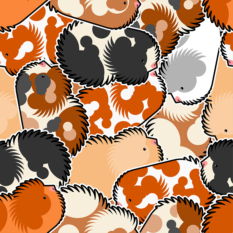 Cavy pattern seamless. guinea pig background. Baby