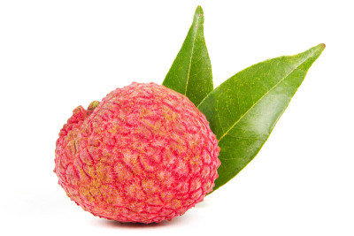 荔枝果实孤立