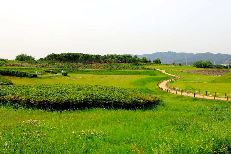 小的路