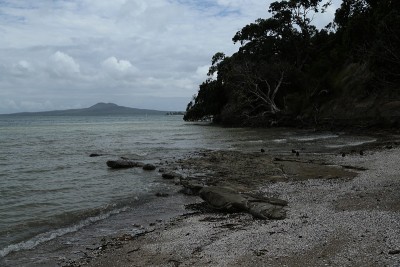 兰伊托岛的海滩景色