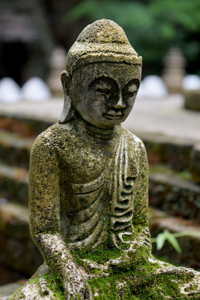 石佛雕像用青苔拉近