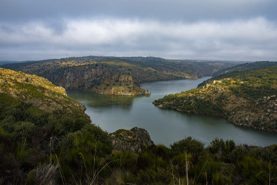 力拓Duero