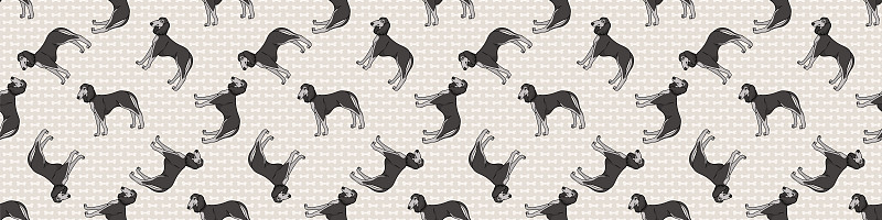 手画可爱萨卢基犬品种无缝边框图案。纯种纯种家犬背景。爱犬猎狼宠物washi缎带。狗狗EPS 10。