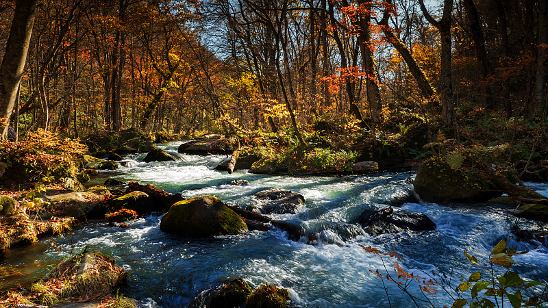 Oirase Stream (Oirase Keiryū)是青森县一个风景如画的山溪，是日本最著名和