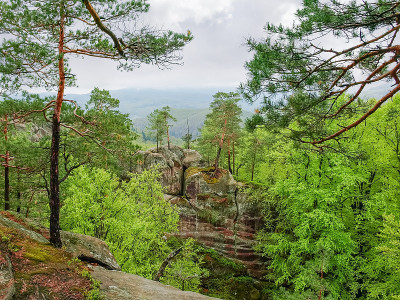 树木生长在岩石上的风景公园Dovbush岩石，乌克兰