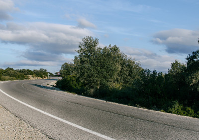 在绿树成荫的道路上急转弯