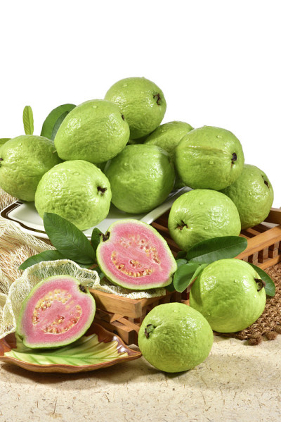 工作室拍摄番石榴林Psidium