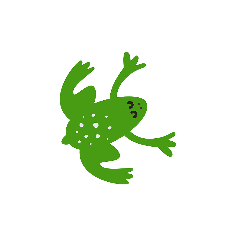 小青蛙。一个可爱的小青蛙的矢量插图