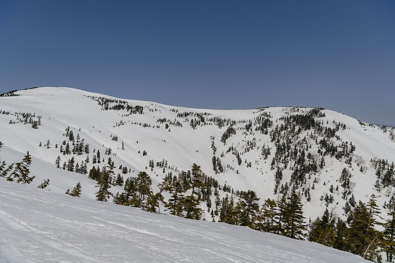 Mt.Aizukomagatake在春天