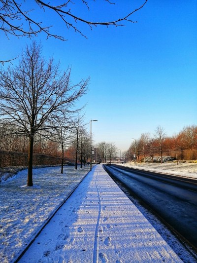 雪的早晨