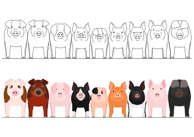 pig border set