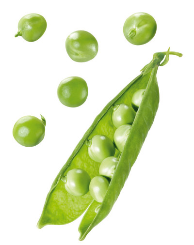 豌豆