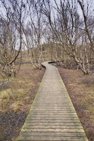 池塘上Amrum