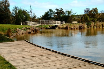 Lillydale湖景观