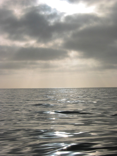 海平静的早晨