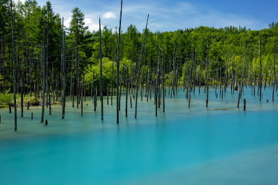 北北海道的蓝色池塘