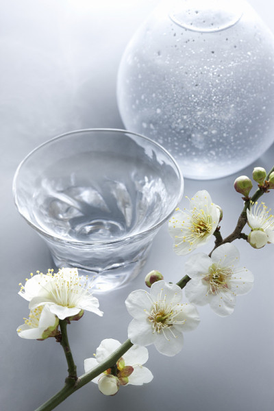 清酒梅花