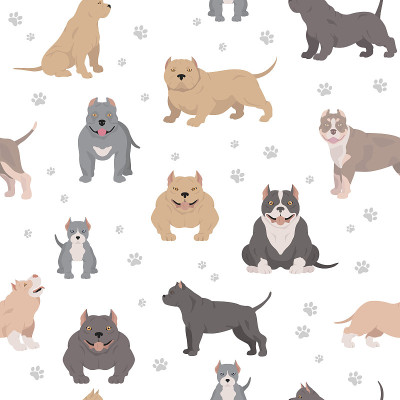American bully dogs set. Color varieties, differen