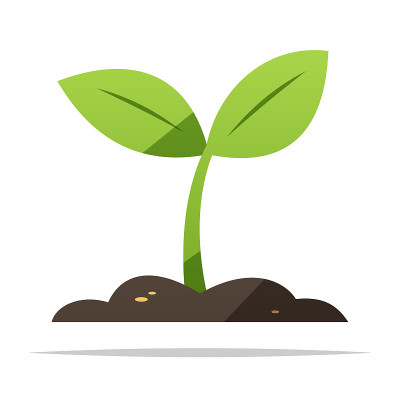 植物芽生病媒分离插图