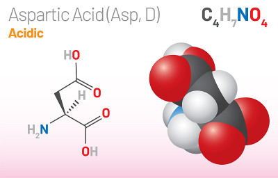 天冬氨酸(Asp, D)氨基酸分子。(化学公式C4H7NO4)