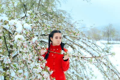 白雪覆盖了盛开的春花