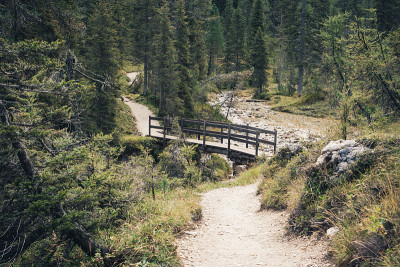 Croda da Lago:意大利Dolomites的Cortina D’ampezzo的木桥