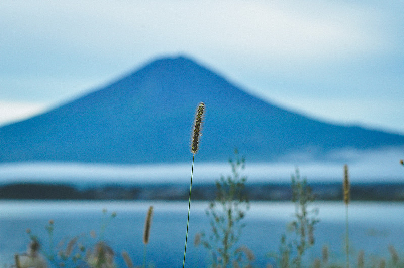 富士山