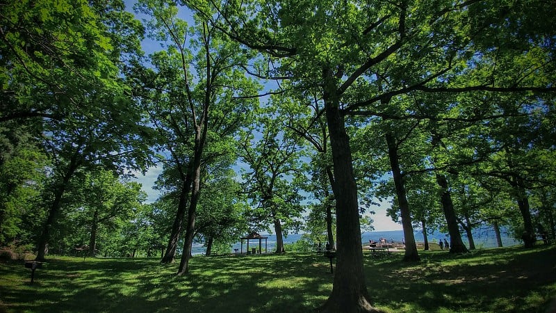 派克峰州立公园，爱荷华州