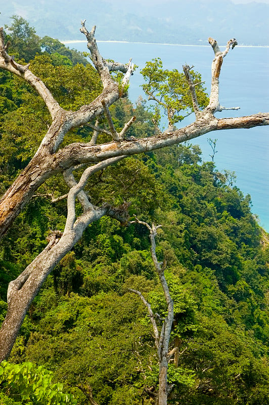 奥罗拉海滩