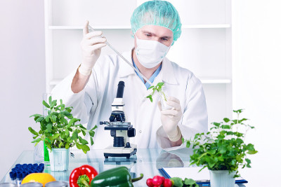 转基因植物研究员